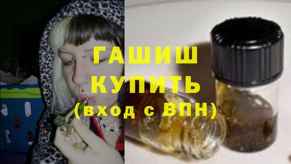 гашик Гатчина