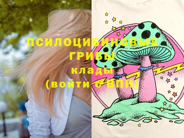 дмт Покровск